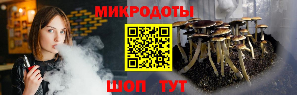Псилоцибиновые грибы мицелий Калининград