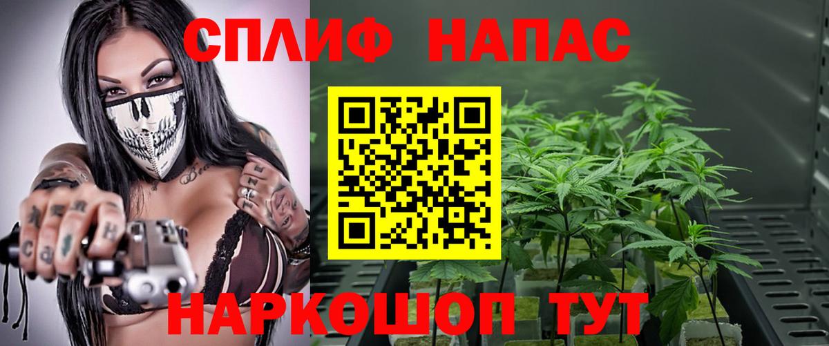 МАРИХУАНА ГИДРОПОН Калининград